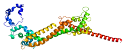 Ақуыз DAAM1 PDB 2j1d.png