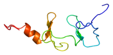 Protein FHL3 PDB 1wyh.png