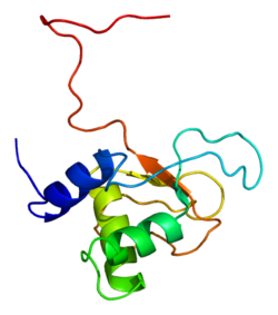 Protein PLEK2 PDB 1v3f.png