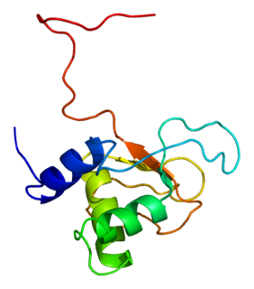 <span class="mw-page-title-main">PLEK2</span>