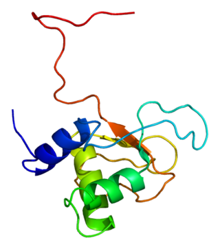 <span class="mw-page-title-main">PLEK2</span> Protein-coding gene in the species Homo sapiens