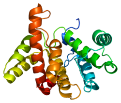 Ақуыз RACGAP1 PDB 2ovj.png