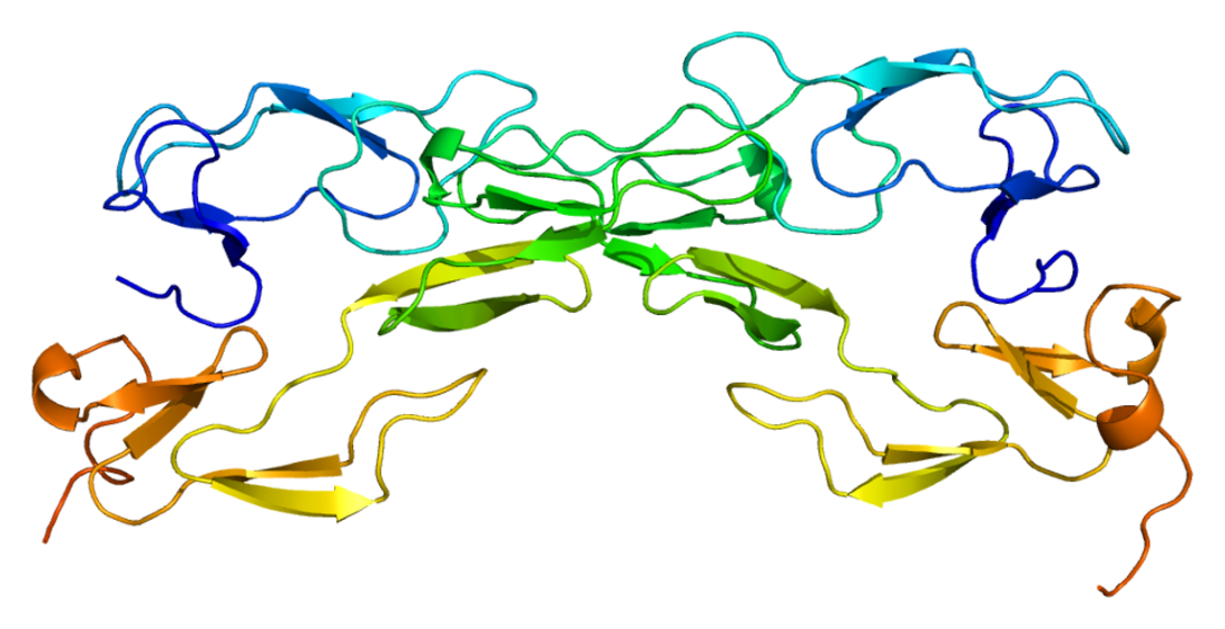 Tumor necrosis factor receptor 1