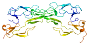 Thumbnail for Tumor necrosis factor receptor 1