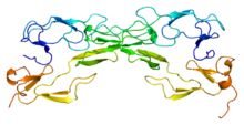Protein TNFRSF1A PDB 1ext.png
