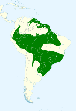 Psittacara leucophthalmus map.svg