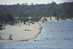 Sandstrand ved Purus-floden.