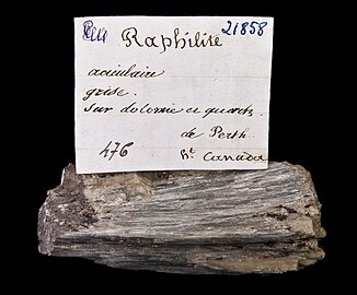 Trémolite (synonym med Raphilite) - Perth Ontario Kanada - 6 × 3 cm Gilbert Joseph Adams autografetikett