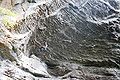 English: Climber on Omaha Beach (5.14a) in The Motherlode area in Red River Gorge of Kentucky