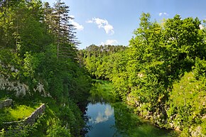 Reka kod Škoflja