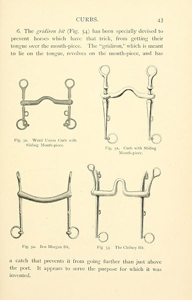 File:Riding and hunting (Page 43) BHL23571960.jpg