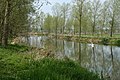 River Stour, just upstream of Stratford St Mary, in "Constable Country". Photo is taken from the Stour Valley Path.