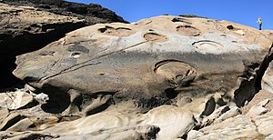 27 Rock formation at Point Lobos 04-072010 uploaded by Mbz1, nominated by Mbz1 Vote for this image