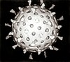 Virusi (rotavirus)