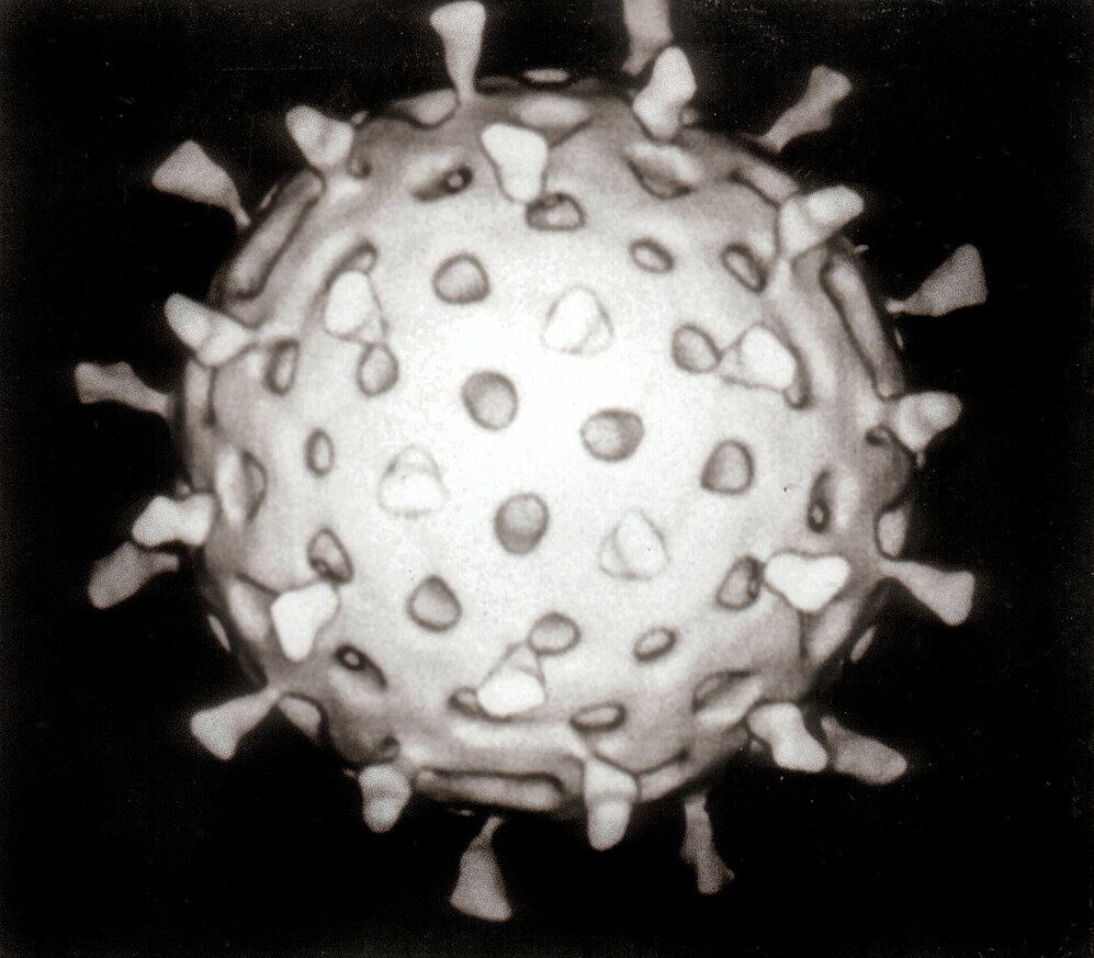 Rotavirus-avatar