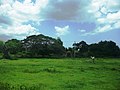 Vista de la hacienda de Sacapuc.