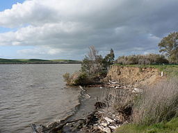 Sacramento Rivers løb gennem Windy Cove i deltaet nær udmundingen.