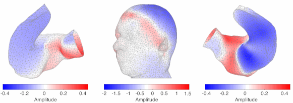 Example of a scalp topography (middle) with corresponding ear-topographies (left and right). The topographies show the potential on the scalp and in the ears for a single dipolar brain source and were calculated using an individualized ear-EEG forward model as described by Kappel et al. Scalp topography and ear-topographies.gif