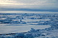Sea ice 2009-09-01.jpg