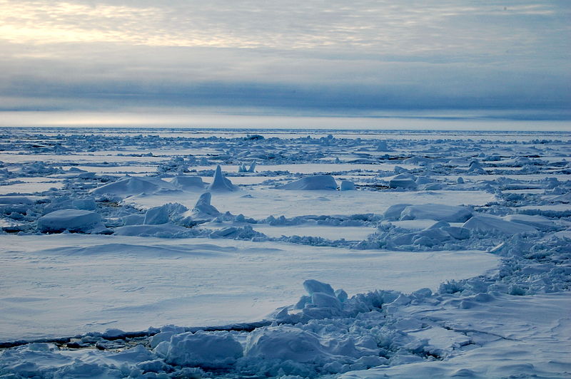File:Sea ice 2009-09-01.jpg