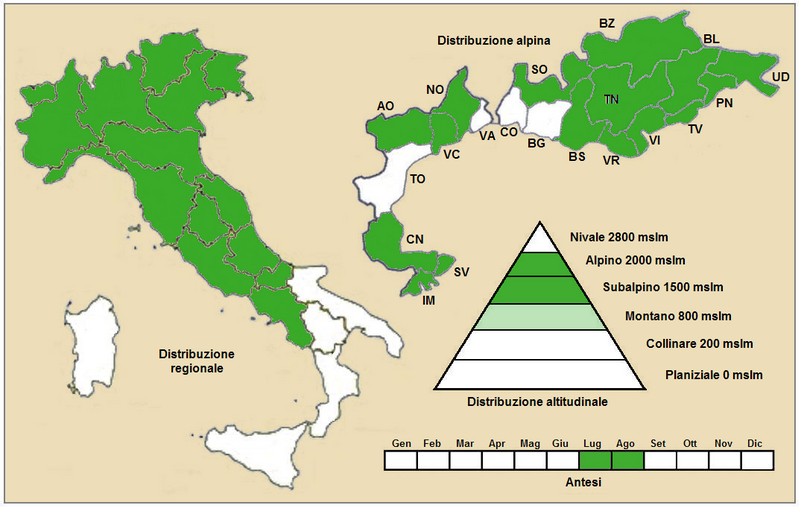 File:Senecio doronicum doronicum - Distribuzione.PNG