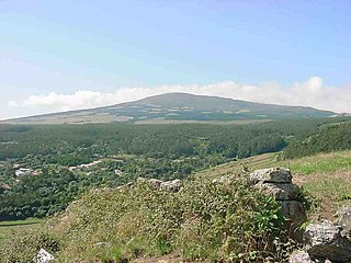<span class="mw-page-title-main">Nature Park of Terceira</span> Protected area of the island of Terceira