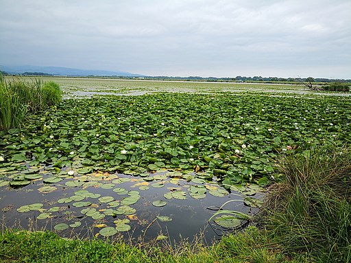 Sestrže - panorama 02