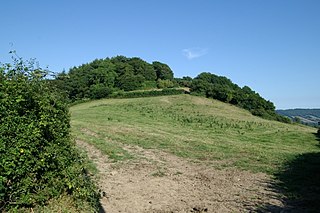 <span class="mw-page-title-main">Sidbury Castle</span> Iron Age hill fort in Devon, England