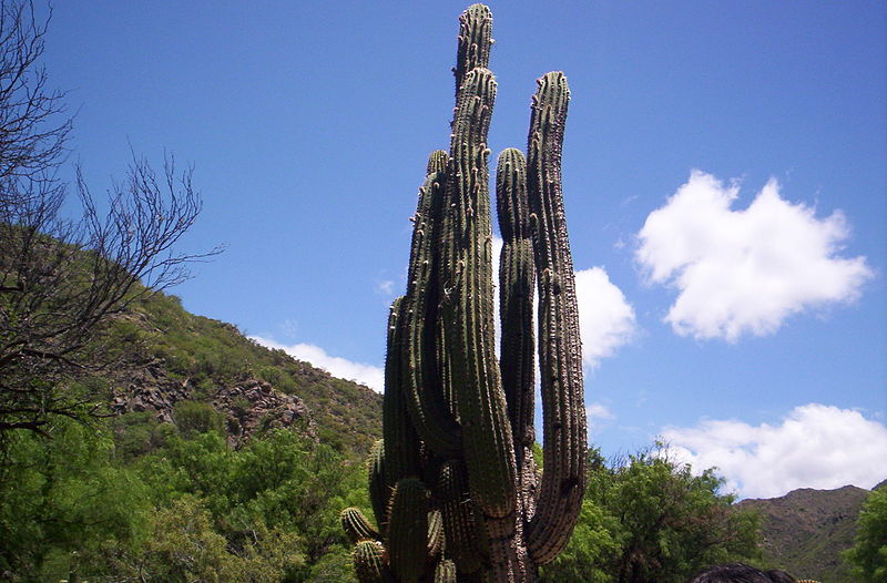 File:Sierras de Valle Fértil, provincia de San Juan.jpg