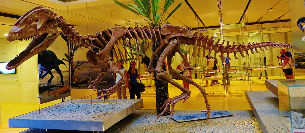 Sinosaurus triassicus