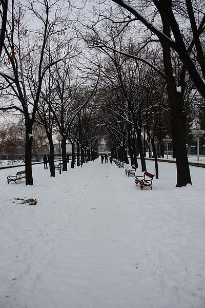 File:Skopski Gradski Park (30).jpg