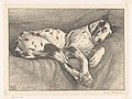 Slapende hond, litho (1930)