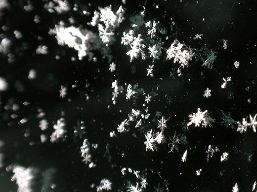 Sneeuwkristallen en -vlokken op een autoruit