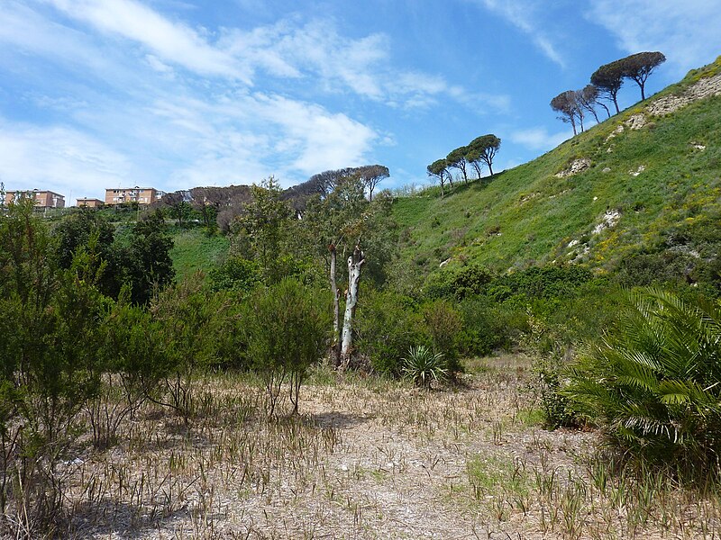 File:Solfatara Steppe.jpg