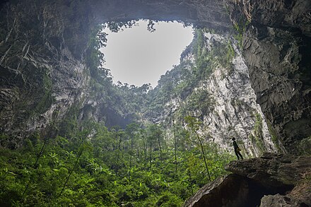 The Hang Sơn Đoòng is the largest known cave passage in the world by volume. It is so large it contains its own subterranean forest and ecosystem.