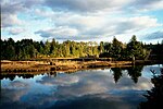 Thumbnail for South Slough National Estuarine Research Reserve