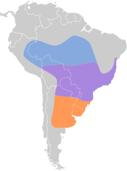 Distribución geográfica del semillero corbatita.