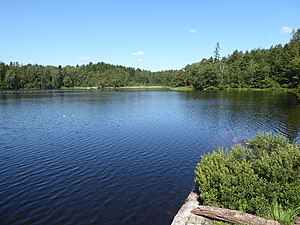 Stora Mölnesjön från öster i juni 2024.