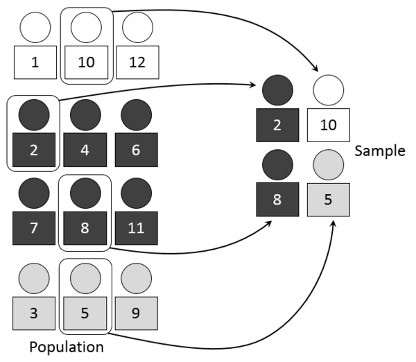A visual representation of selecting a random sample using the stratified sampling technique