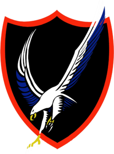 Strike Fighter Squadron 136 (US Navy) insigno 2015.png