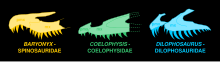 Diagram of three taxa displaying subnarial gaps. Subnarial gap.svg