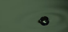 Fayl: Superwalking droplet.webm.480p.vp9 (1) .webm