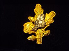 WWII Naval Officers from the Civil Engineer Corps, Medical Corps, Dental Corps and Supply Corps assigned to Naval Construction Battalions had a Silver Seabee on their Corps insignia. Supply Corps Insignia.jpg