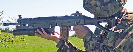 Swiss soldier SG550 GL5040 (cropped).JPG