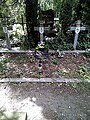 The Hungarian Warriors tombs at Podkowa Leśna cemetery, Poland, photo of 11 May 2024