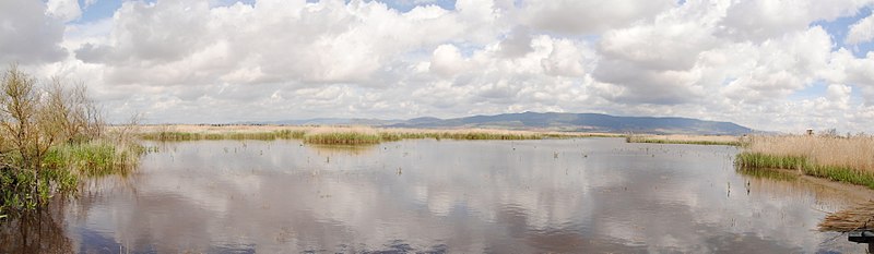 File:Tablas de Daimiel National Park - Spain - panoramio.jpg