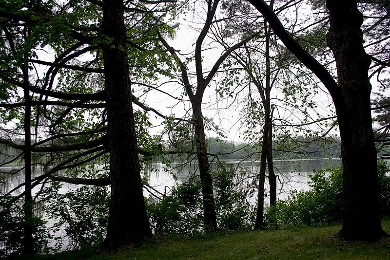 File:Taconic State Park – Rudd Pond Area.jpg