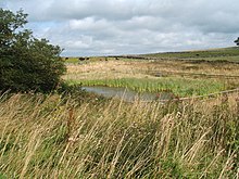 Taddington High Mere