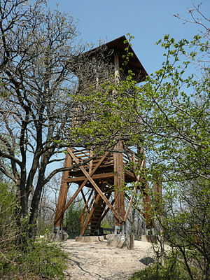 Lookout tower on the Tamás-Hegy