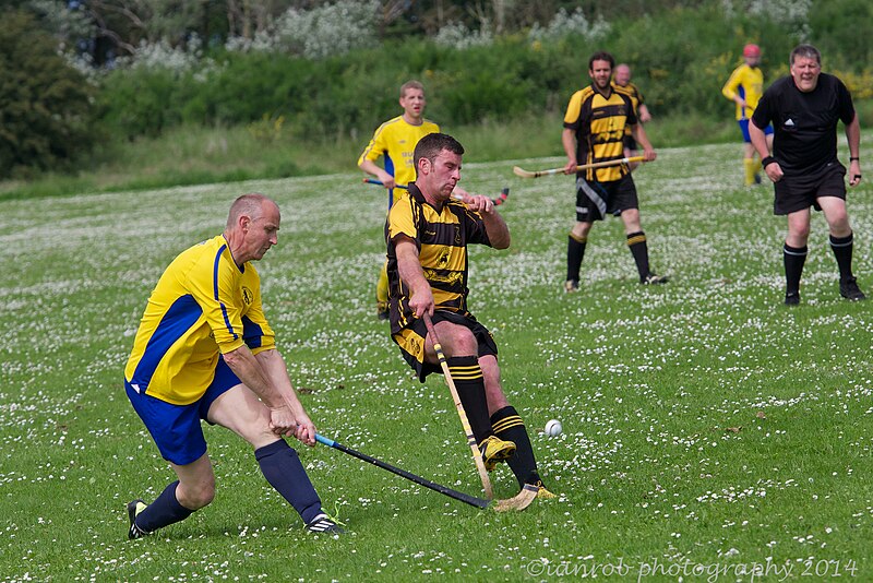 File:Tayforth vs Col Glen 2155 (14425479662).jpg